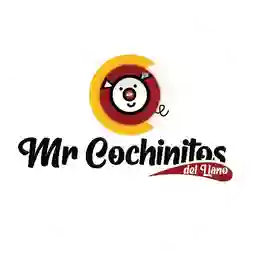 Mr Cochinitos Del Llano  a Domicilio