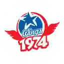 Wings 1974