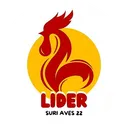 Lider Suri Aves 22