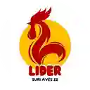 Lider Suri Aves 22 - Suba