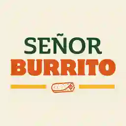 Señor Burrito San Fernando  a Domicilio