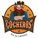 Cocheros Popayan - Comuna 3