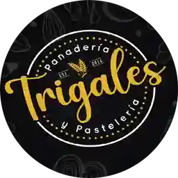 Panaderia Trigales Campobello  a Domicilio