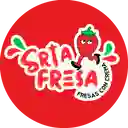 Srta Fresa - Boston