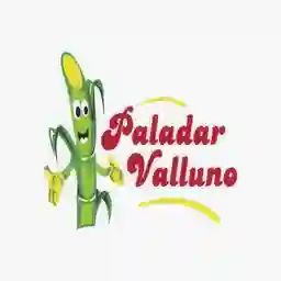 PALADAR VALLUNO CAÑAVERAL 34 a Domicilio