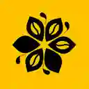 Flor de Oro