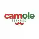 Camole Tex Mex