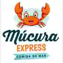 Mucura Express - Laureles-Estadio