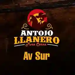 Antojo Llanero la Sur a Domicilio