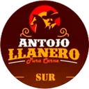 Antojo Llanero Sur