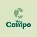 Mas Campo