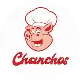 Chancho´s Parrilla & Burger a Domicilio