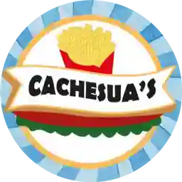 Cachesuas  a Domicilio