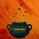 Cocora Cocina Cafetera