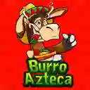 Burro Azteca - San Nicolas
