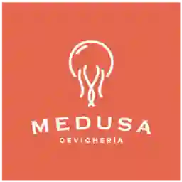 Medusa Cevicheria  a Domicilio
