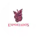 Esponjados
