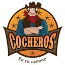 Cocheros San Luis