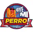 Oye Mi Perro 20 - San Cristóbal