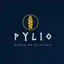 Pylio 93