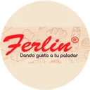 Ferlin