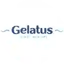 Gelatus - Montería