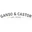 Ganso y Castor - El Poblado