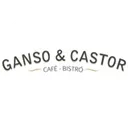 Ganso y Castor