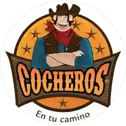 Cocheros Alfonso Lopez a Domicilio