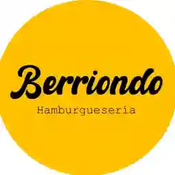 Berriondo Hamburgueseria  a Domicilio