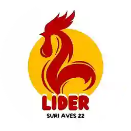 Lider Suri Aves 22 - Centro a Domicilio