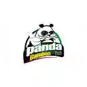 Panda Bamboo. - Manizales
