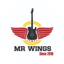 Mr Wings