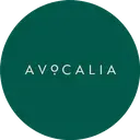 Avocalia - 93