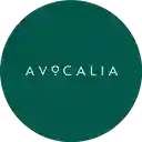 Avocalia - Sotomayor