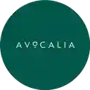 Avocalia - Sur Occidente