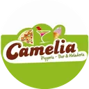 Camelia Pizzeria Bar