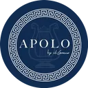 Apolo By Il Grecco