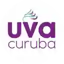 Uva Curuba Envigado - Jardines