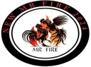 Mr Fire