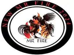 Mr Fire a Domicilio