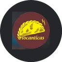 Crocanticas Santa Marta