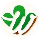Wuana