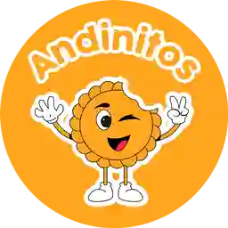 Andinitos a Domicilio