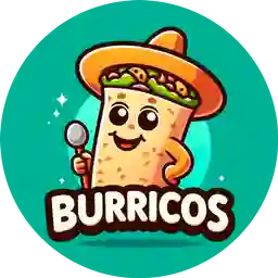 Burricos a Domicilio