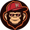 The Monkeys Callejeros