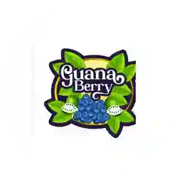 Guanaberry a Domicilio