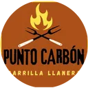 Punto Carbon