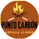 Punto Carbon