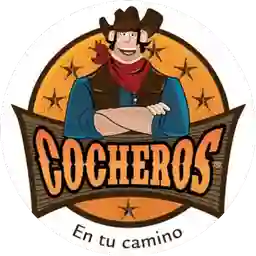 Cocheros el Lujan a Domicilio